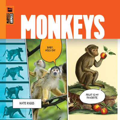 Monkeys - Kate Riggs