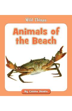 Coperta cărții 'Animals of the Beach - Czeena Devera'