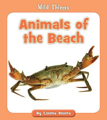 Coperta cărții 'Animals of the Beach - Czeena Devera'