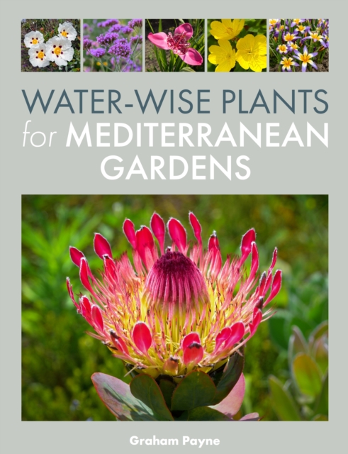 Coperta cărții 'Water-Wise Plants for Mediterranean Gardens - Graham Payne'