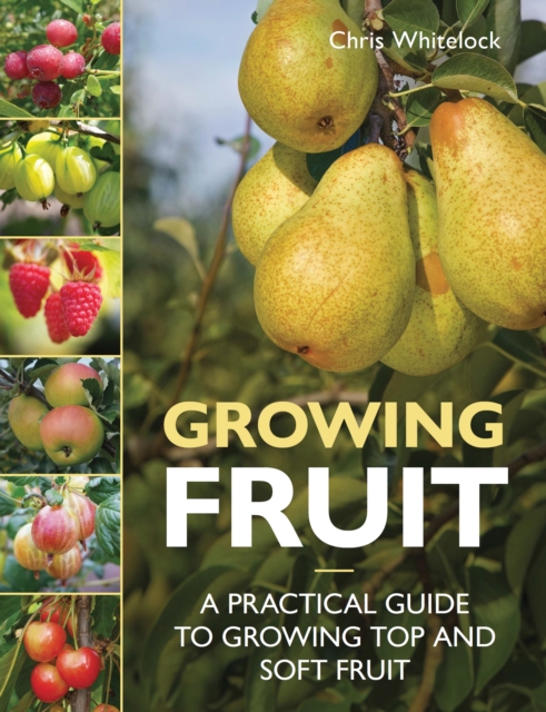 Growing Fruit - Chris Whitelock