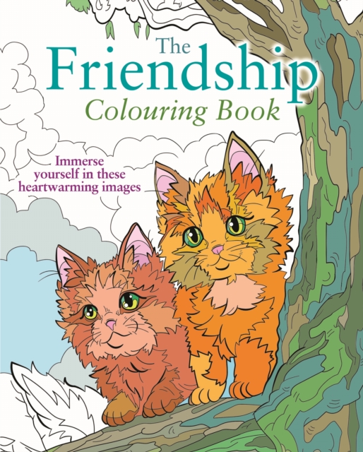 Friendship Colouring Book - Tansy Willow