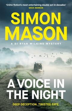 Voice in the Night - Simon Mason