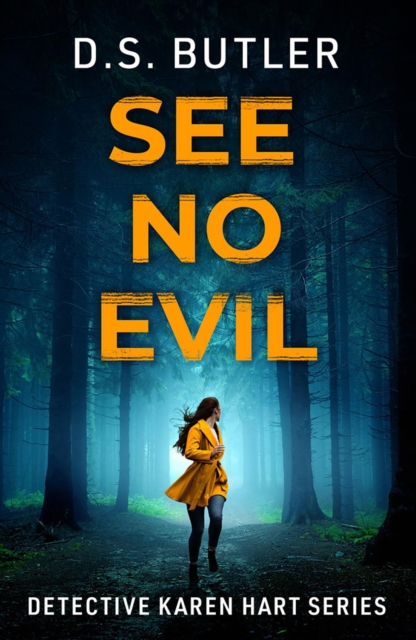 See No Evil - D. S. Butler