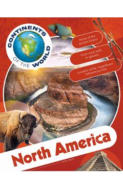 Coperta cărții 'North America - John Lesley'