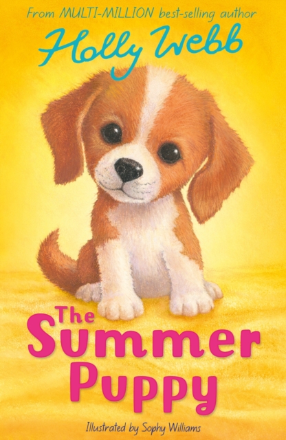 Summer Puppy - Holly Webb