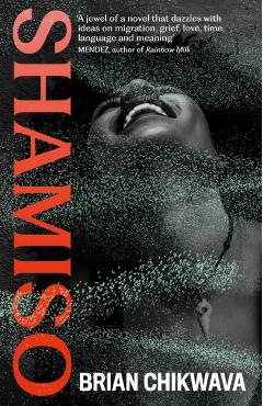 Coperta cărții 'Shamiso - Brian Chikwava'