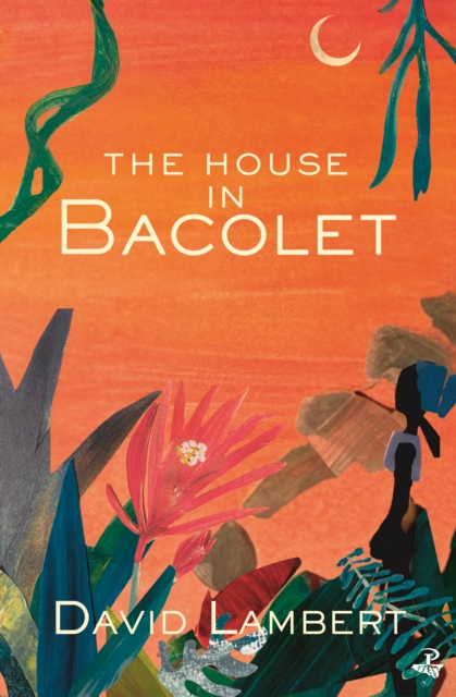 House in Bacolet - David Lambert