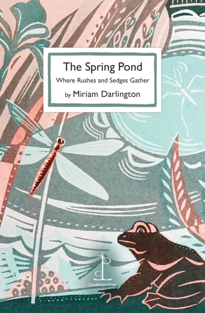 Spring Pond - Miriam Darlington