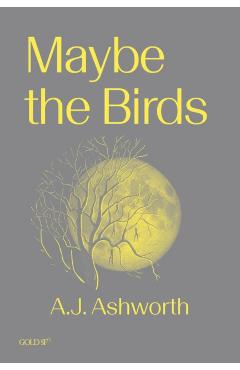 Coperta cărții 'Maybe the Birds - A. J. Ashworth'