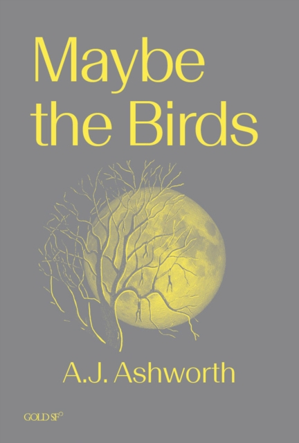 Coperta cărții 'Maybe the Birds - A. J. Ashworth'