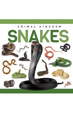 Coperta cărții 'Snakes - Rebecca Phillips-bartlett'