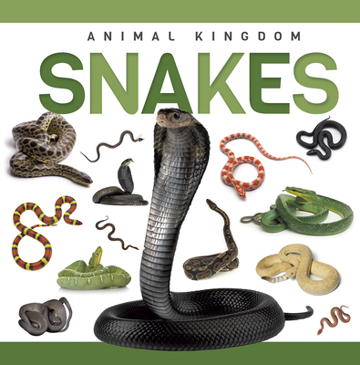 Coperta cărții 'Snakes - Rebecca Phillips-bartlett'