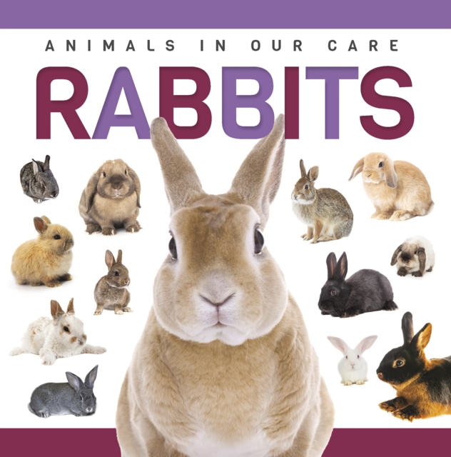 Coperta cărții 'Rabbits - Alex Hall'