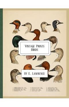 Coperta cărții 'Vintage Prints: Birds - E. Lawrence'