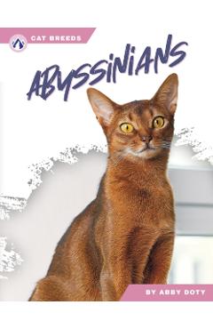 Poza produsului Abyssinians - Abby Doty