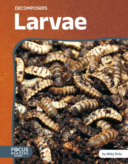 Larvae - Abby Doty