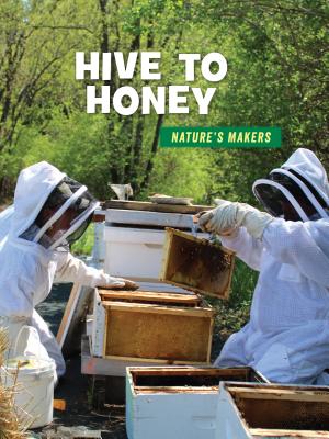 Coperta cărții 'Hive to Honey - Julie Knutson'