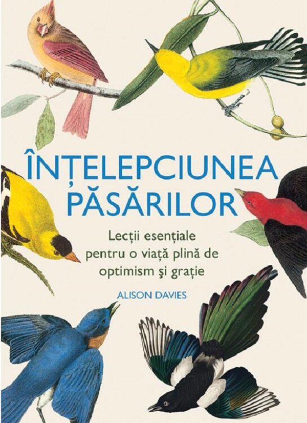 Intelepciunea pasarilor - Alison Davies