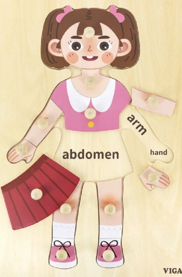 Puzzle corpul uman: Fata
