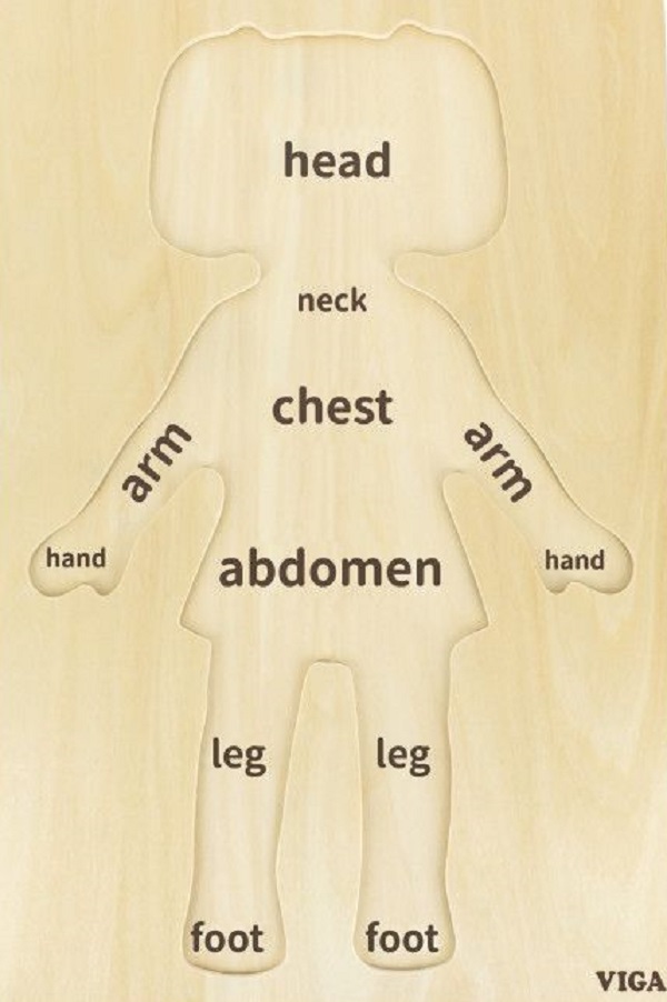 Puzzle corpul uman: Fata