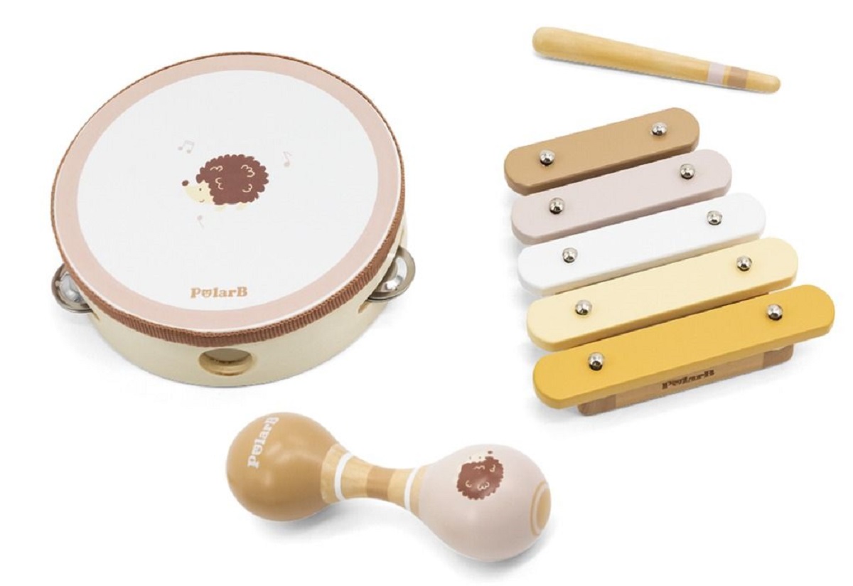 Set  de jucarii muzicale: Arici