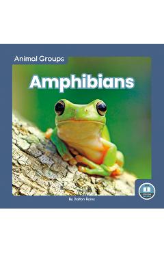 Coperta cărții 'Amphibians - Dalton Rains'