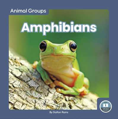 Coperta cărții 'Amphibians - Dalton Rains'