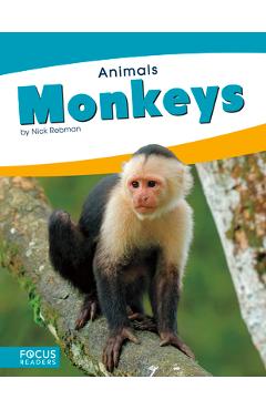 Coperta cărții 'Monkeys - Nick Rebman'