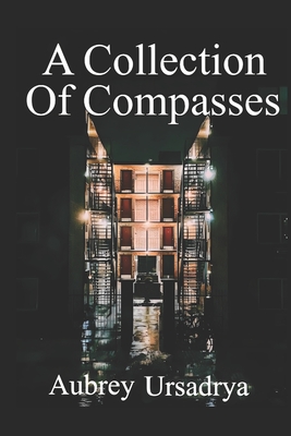 A Collection of Compasses - Aubrey Ursadrya