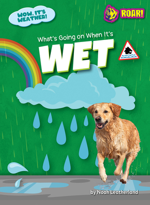 What's Going on When It's Wet - Noah Leatherland