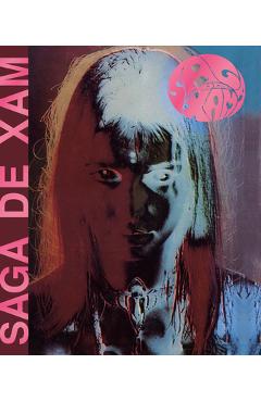 Coperta cărții 'Saga de Xam - Nicholas Devil'