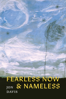 Coperta cărții 'Fearless Now & Nameless - Jon Davis'