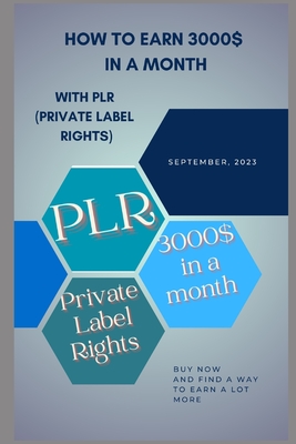 How to Earn 3000$ in a Month with PLR (Private Label Rights) - Nitasha Saddiqa