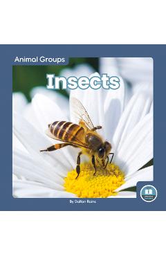 Coperta cărții 'Insects - Dalton Rains'