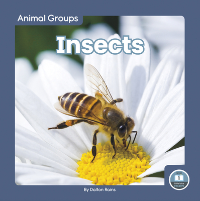 Coperta cărții 'Insects - Dalton Rains'