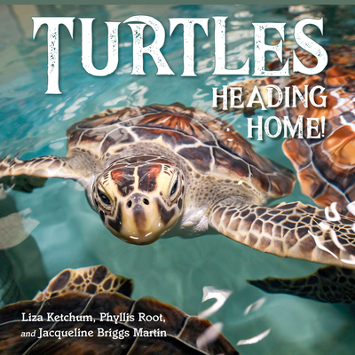 Turtles Heading Home! - Liza Ketchum