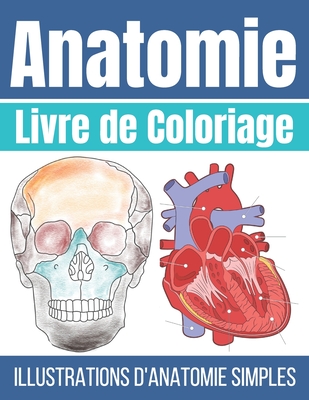 Livre de Coloriage Anatomie: Illustrations d'anatomie Simple à Colorier - Anatomie et Physiologie Humaine - Bee Art Press