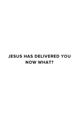 Jesus Has Delivered You (now what?) - James M. Thayer