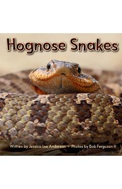 Poza produsului Hognose Snakes - Jessica Anderson