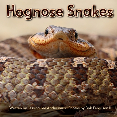 Hognose Snakes - Jessica Anderson