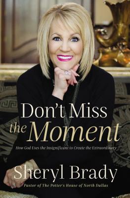 Don't Miss the Moment: How God Uses the Insignificant to Create the Extraordinary - Sheryl Brady