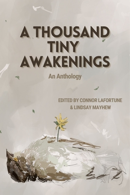 A Thousand Tiny Awakenings - Connor Lafortune
