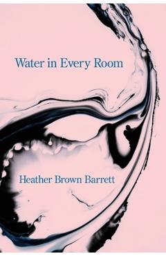 Coperta cărții 'Water in Every Room - Heather Brown Barrett'