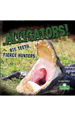 Coperta cărții 'Alligators! Big Teeth, Fierce Hunters - Alan Walker'