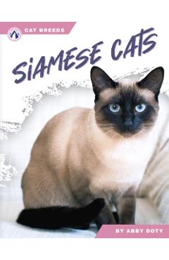 Siamese Cats - Abby Doty