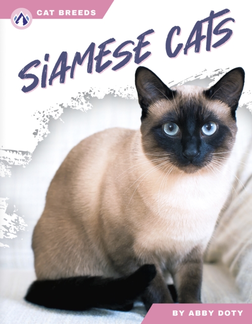 Siamese Cats - Abby Doty