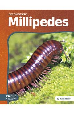 Poza produsului Millipedes - Trudy Becker