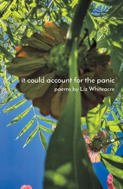 Coperta cărții 'it could account for the panic - Liz Whiteacre'