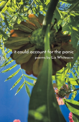 Coperta cărții 'it could account for the panic - Liz Whiteacre'